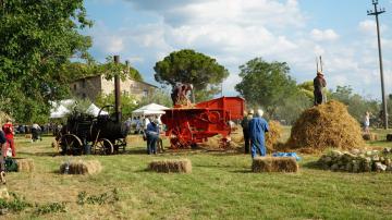 Festa della Battitura 2018